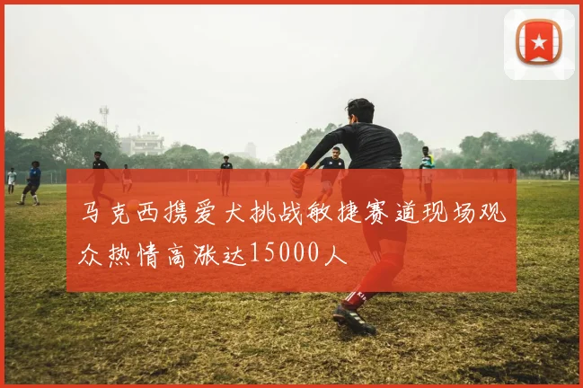 马克西携爱犬挑战敏捷赛道现场观众热情高涨达15000人