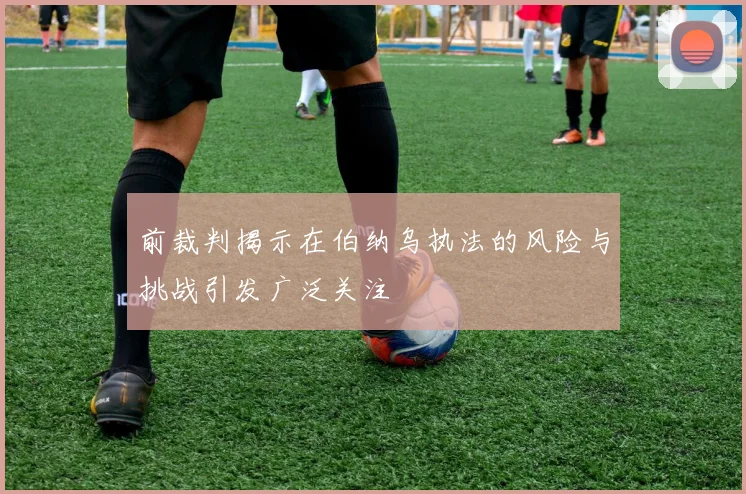 前裁判揭示在伯纳乌执法的风险与挑战引发广泛关注