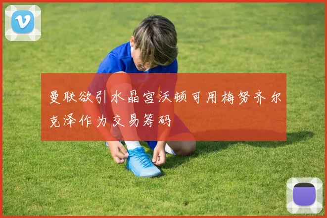 曼联欲引水晶宫沃顿可用梅努齐尔克泽作为交易筹码
